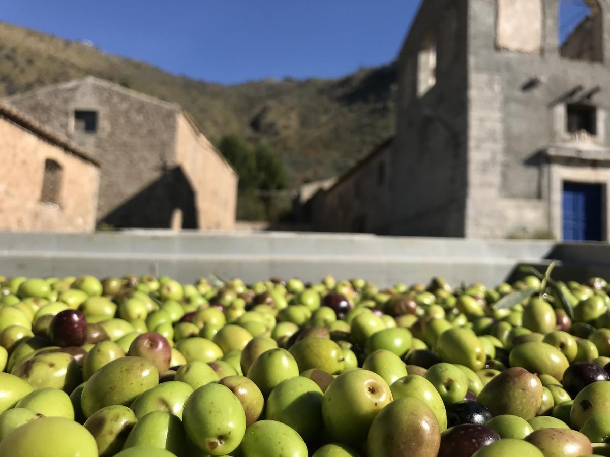 La Ferula Bed and Breakfast Scillato  Εξωτερικό φωτογραφία