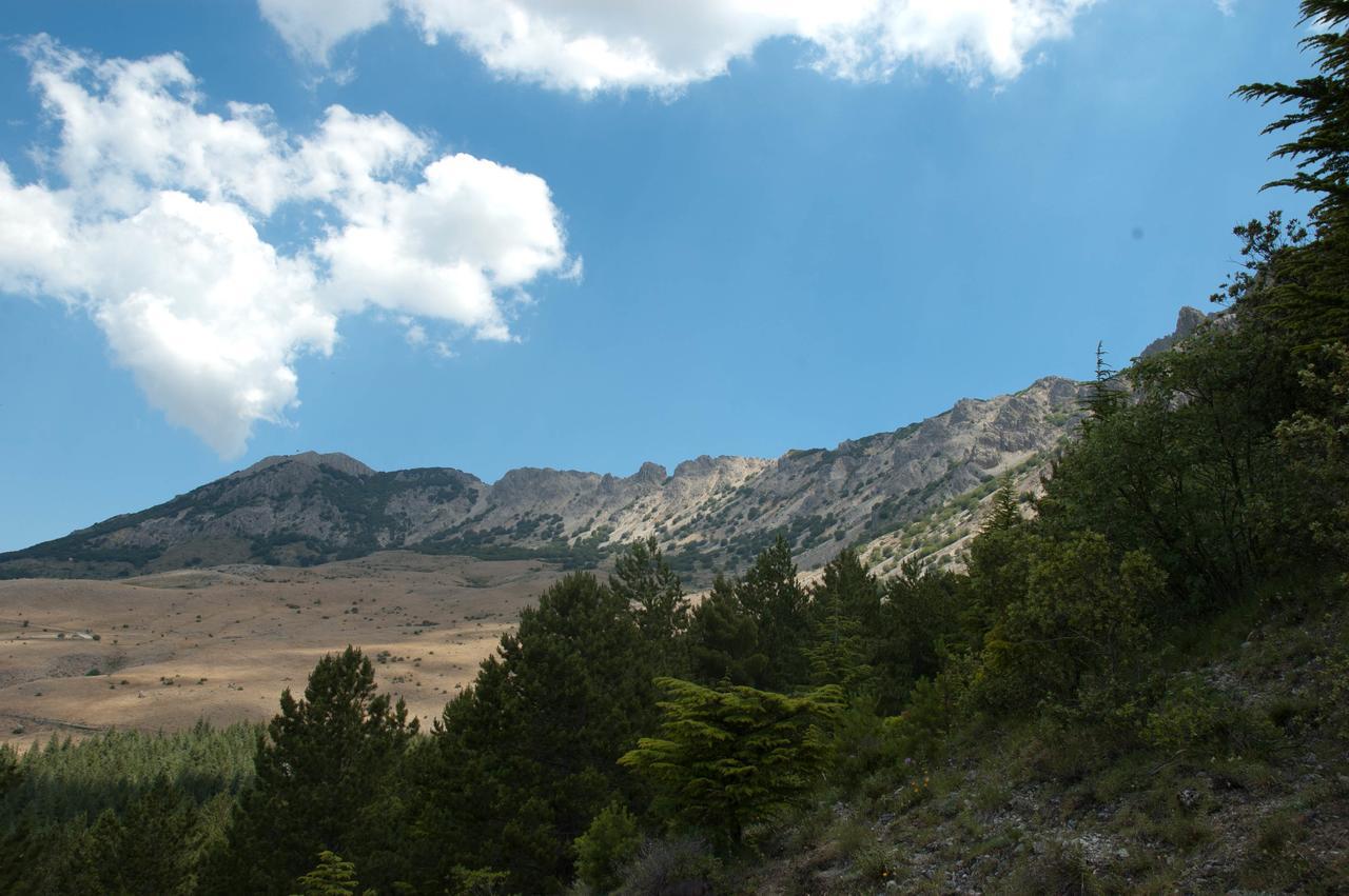 La Ferula Bed and Breakfast Scillato  Εξωτερικό φωτογραφία